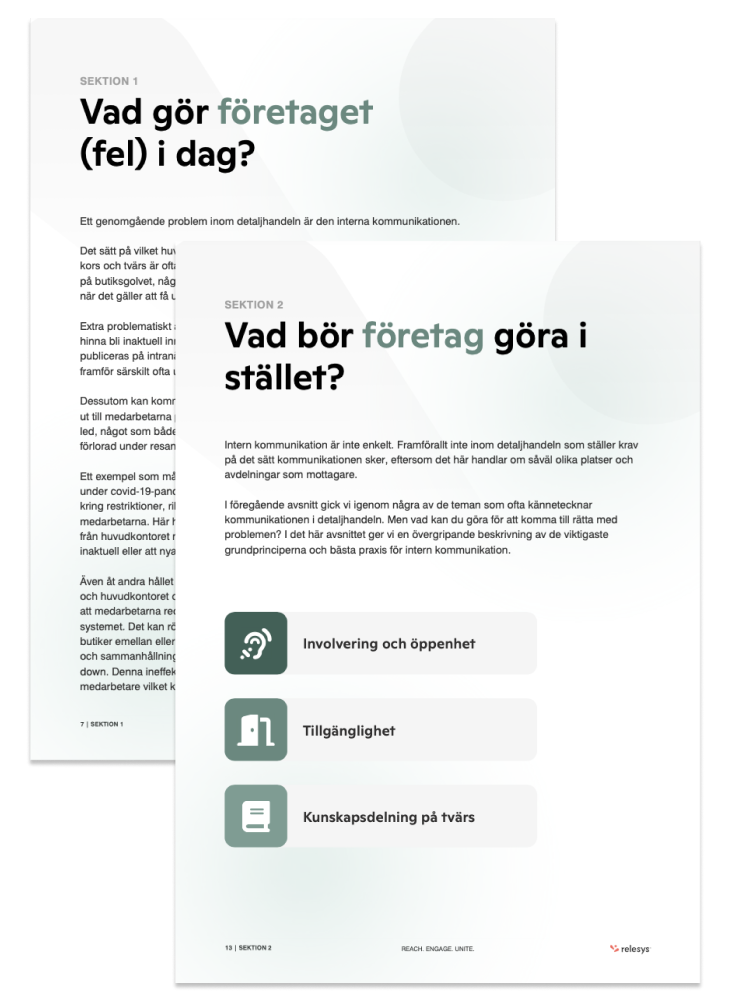 relesys-white-paper-preview-se-png